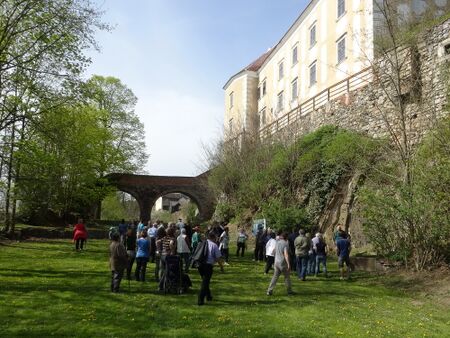 Drosendorf Stadtmauer