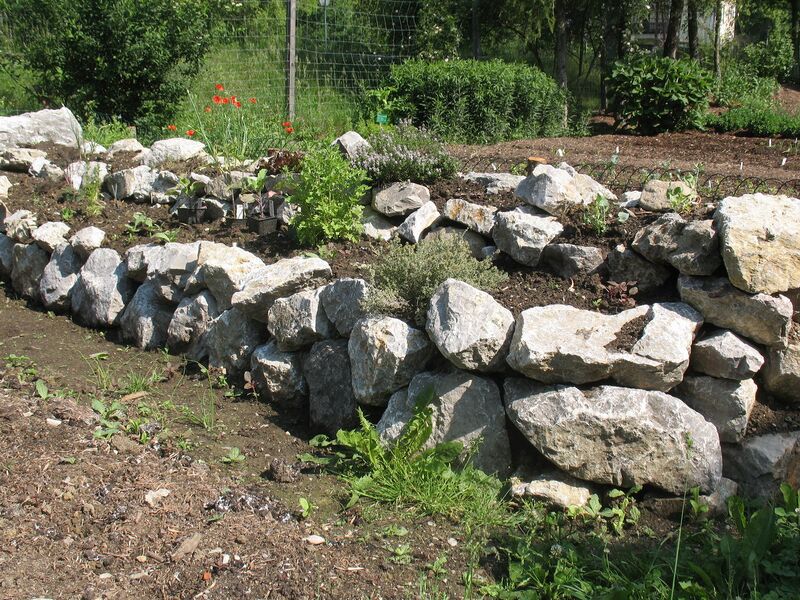 Datei:Steinmauer Garten neu bepfl.jpg