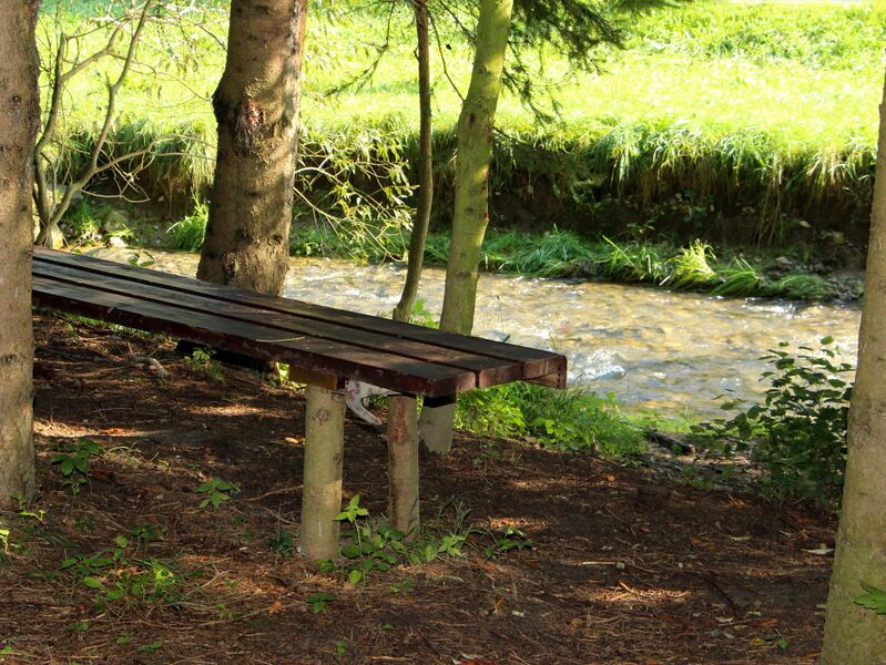 Datei:SG PG schattige Hundebadeplatz.JPG