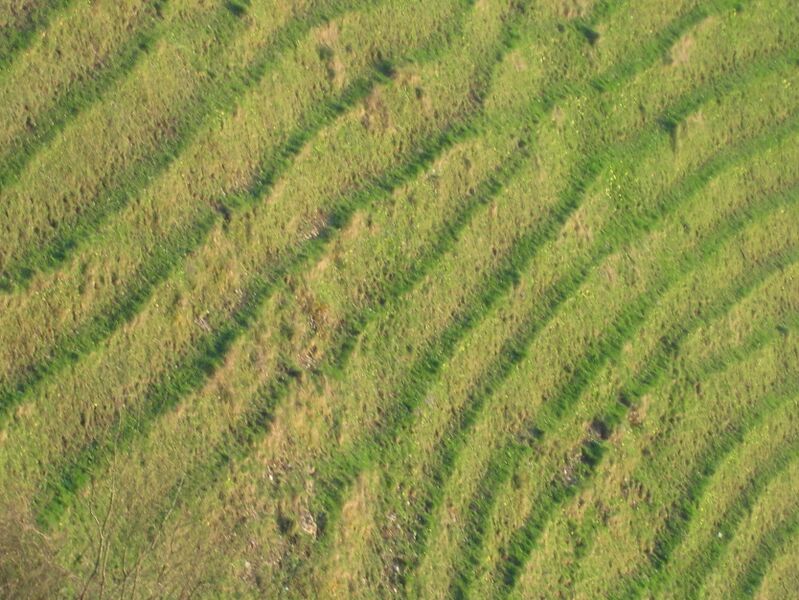 Datei:Viehwege Detail.jpg