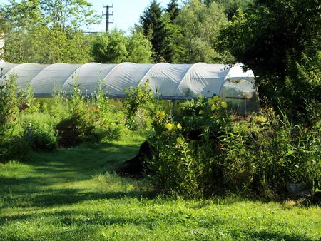 Weg zum Folientunnel 1
