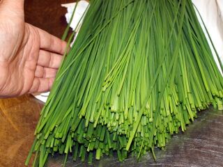 griffbereit in der Küche: Blüten und Kräuter