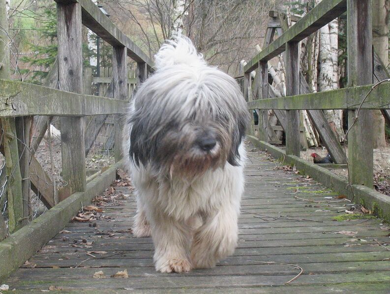 Datei:Wastl auf seiner Route.jpg