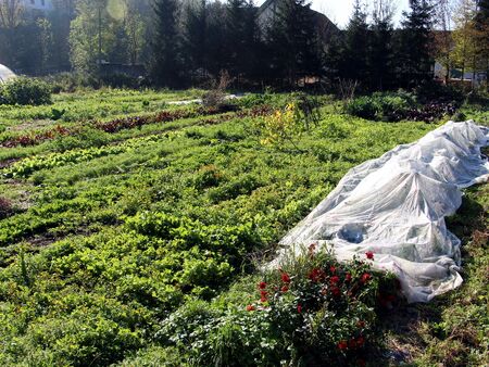 Pielachbettgarten 28. Oktober 2014