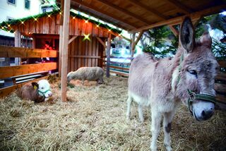 lebende Krippe - Mariazeller Advent