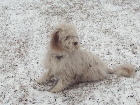 Junge Paula - erster Schnee