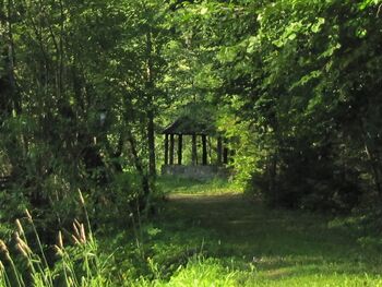 Naturweg am Steinschaler Teich
