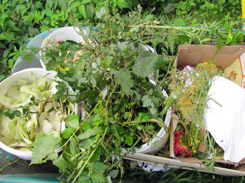 Datei:Küchenkompost 2011.jpg