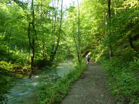 Weg zum Trefflingfall vom Sulzbichl