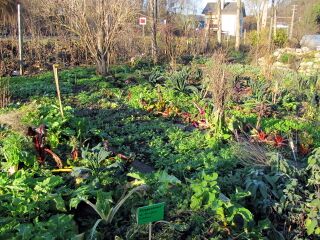 Produktiongarten - Spätherbst