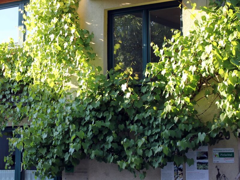 Datei:Sh Grüne Rezeption.JPG