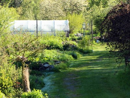 Blick Prodgarten nach späten Reif