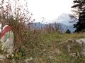 Ötscherblick von der Eisenstein Alm]]