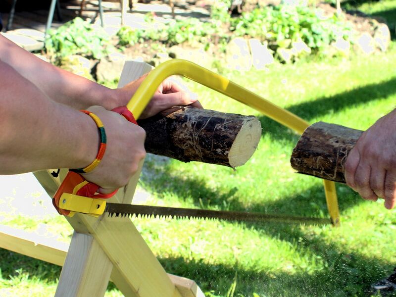 Datei:ALmo sägen.jpg