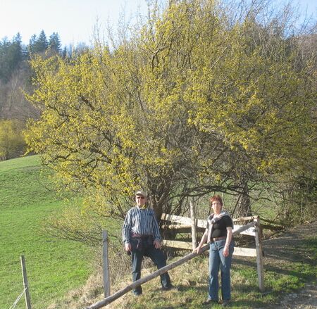 Blütenwanderung mit Gästen