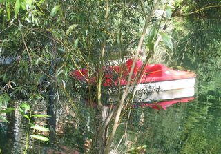 Steg am Steinschaler Teich