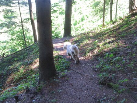 "Paula als Wanderführer"