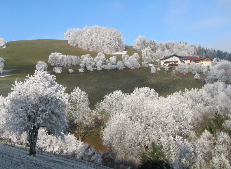 Datei:Rauhreif Gaisberg3.jpg