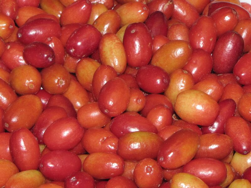 Datei:SK Olivendirndln.jpg