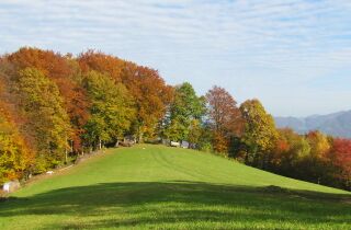 Reithbach-Wiese