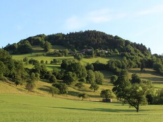 Fronberg - Anfang Juni