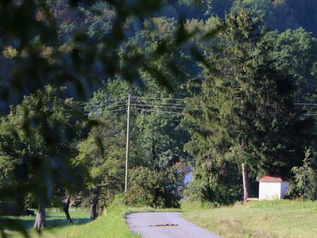 Rad- und Kardinal König-Weg