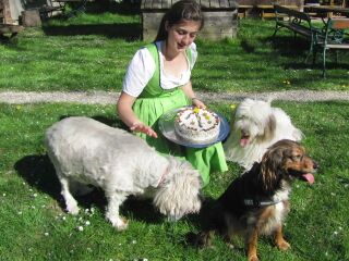 Hundegeburtstag 2012