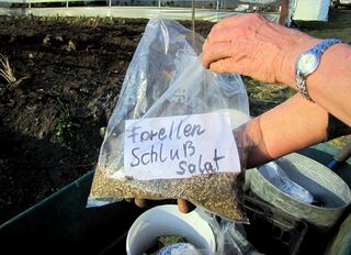 Aussaat imF rühjahr