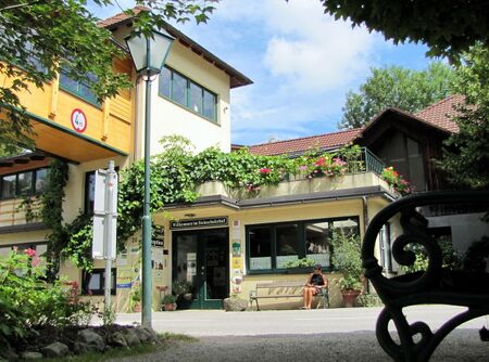 Rezeption von Süden