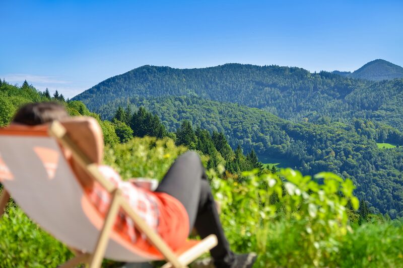 Datei:SD-Entschleunigung in Pause.jpg