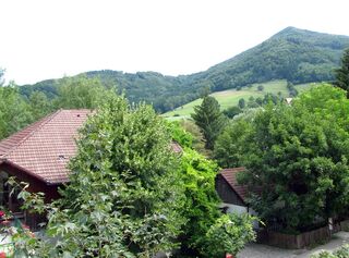 Blick auf den 1.000 Dirndlberg