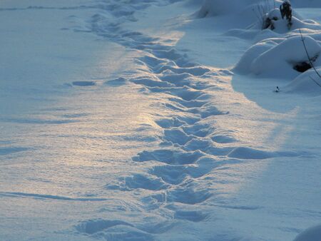 Winterstimmung im Garten