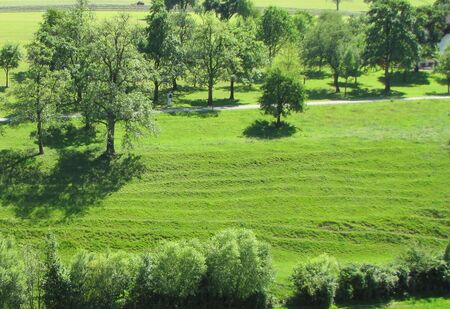 Viehsteige im Warthgraben bei Braunsteiner