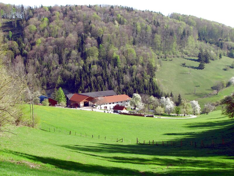 Datei:Oachner im Frühjahr.jpg