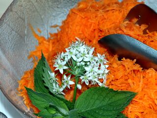 Karottensalat mit Knolauchblüte