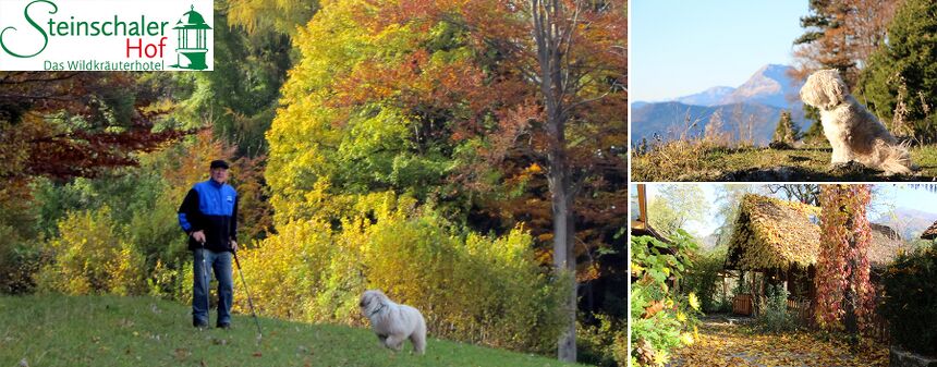 Urluab mit Hund im Herbst