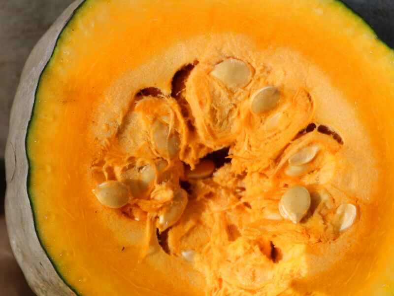 Datei:SH Kürbis blaue Banane innen.jpg