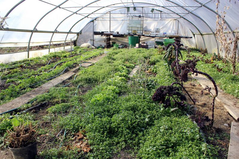 Datei:SG FT März 2013.jpg