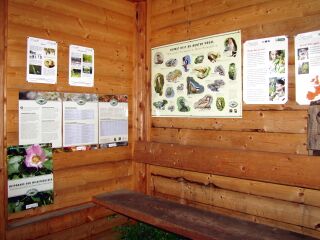 Blick in Alpiner Strandkorb