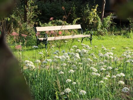 Bankerl bei Knolauch - für den Gartengenuss