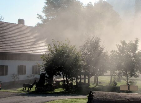 Morgennebel am Laimboden