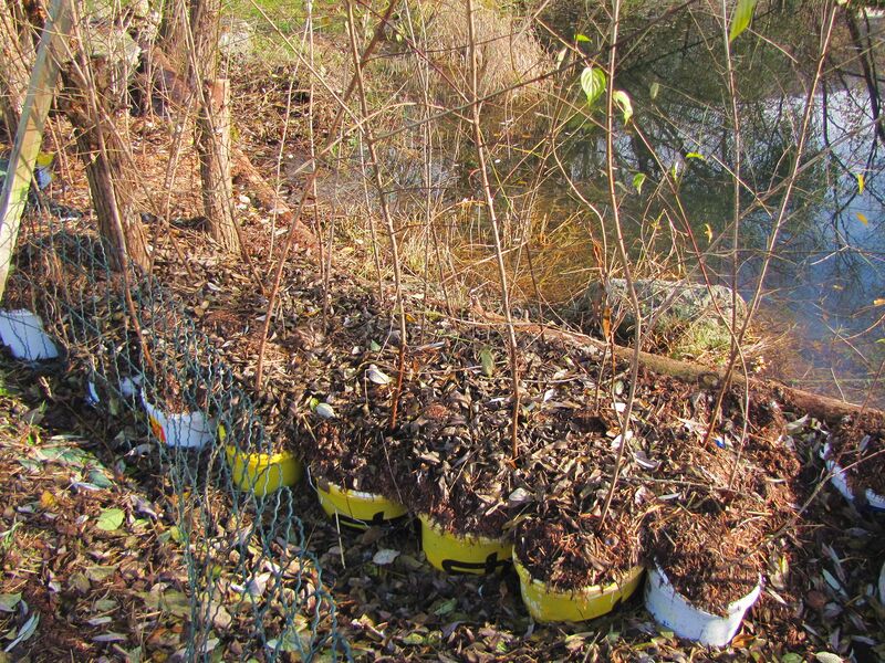 Datei:SG-Dirndltöpfe Herbst Teich.jpg