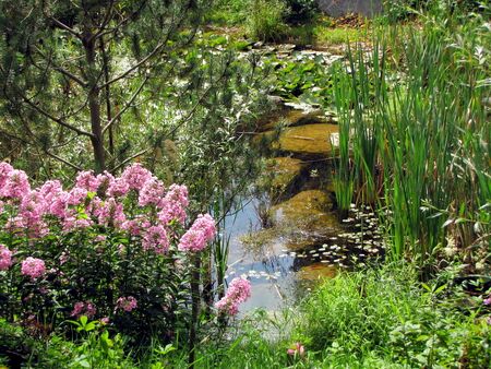 Südgarten Biotop im Sommer