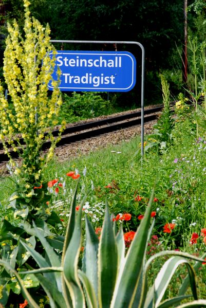 Datei:Schild Station Steinschall.jpg