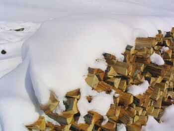 Holzstoß im Winter