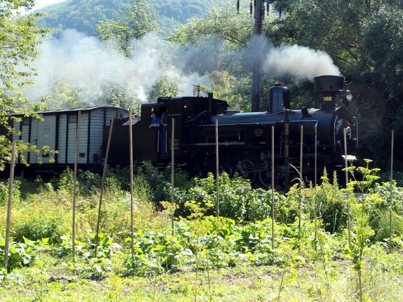 Datei:SG Mh6 dampft durch Garten.JPG