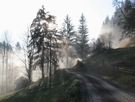 Nebelidyll oberhalb Oachner im Dezember 2015