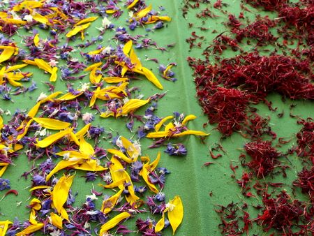 unterschiedliche Blüten zum Trocknen