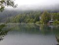 Lunzer See am Morgen