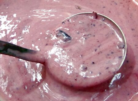 Steinschaler Dirndl-Joghurt